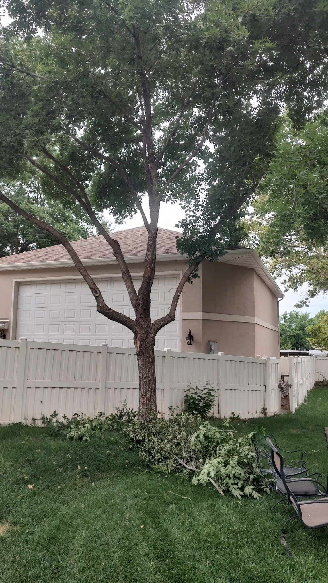 Tree service work